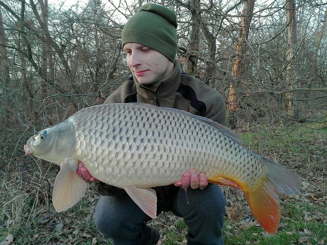 Detail fotografie - Kapr, Boilies Boss2 MAGIC - Slunečnice, Středočeský kraj