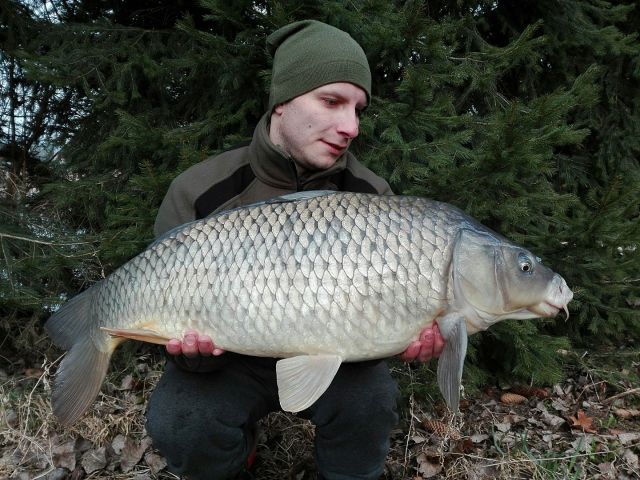 Detail fotografie - Kapr, Boilies Boss2 MAGIC - Slunečnice, Jihočeský kraj