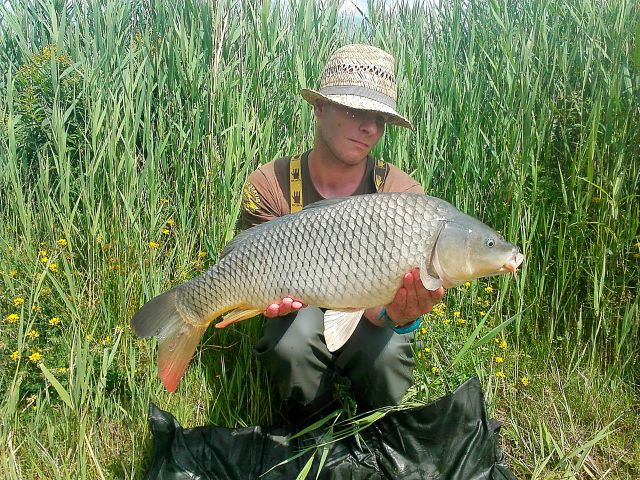 Detail fotografie - Kapr, Pop Up boilies Carp Servis, Ústecký kraj